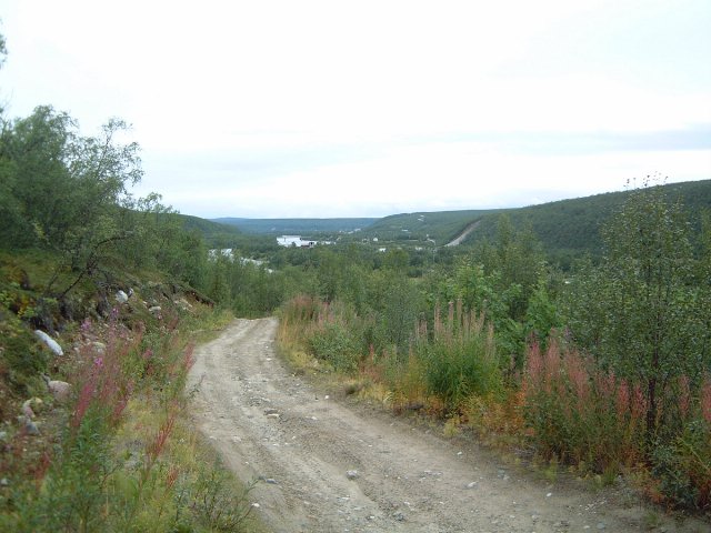20040825/Masi.jpg