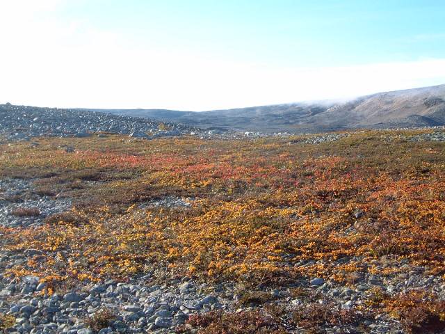 20040901/Haust.jpg